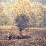 I colori d'autunno